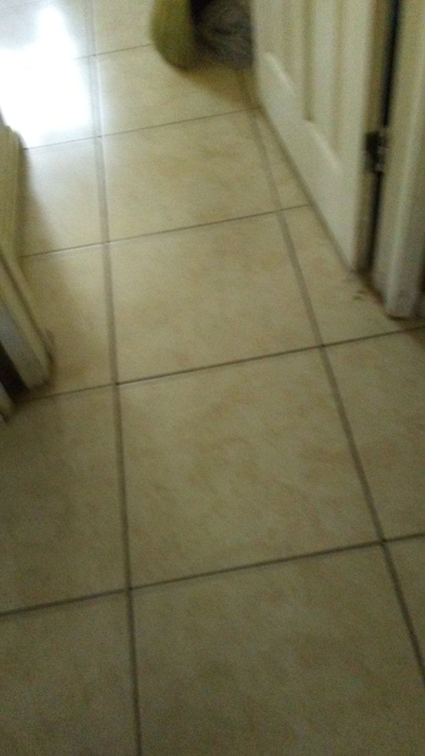 Title & Grout Cleaning